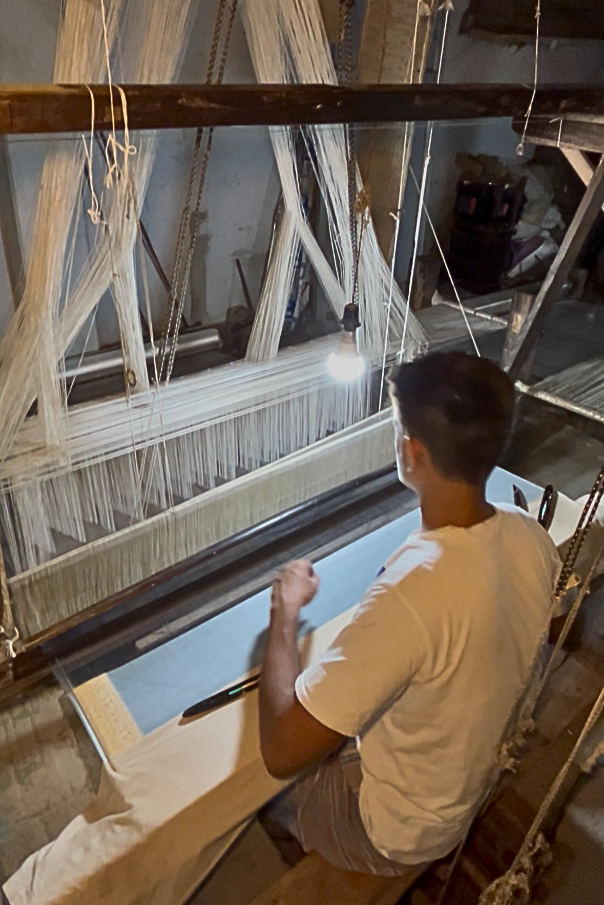 Banarasi Sari: The Precision of Warp and Weft
