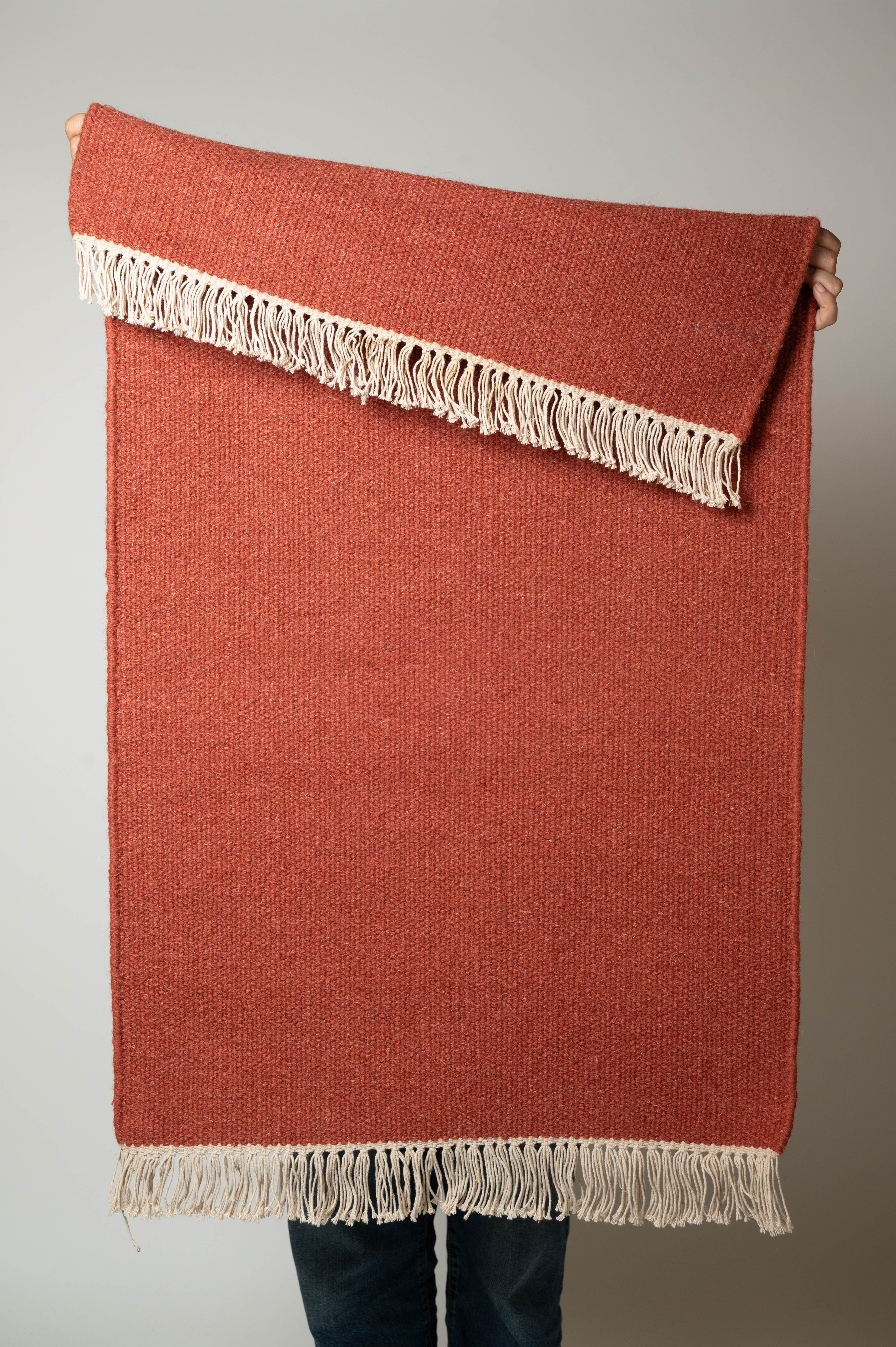 Vahni Solid Rug