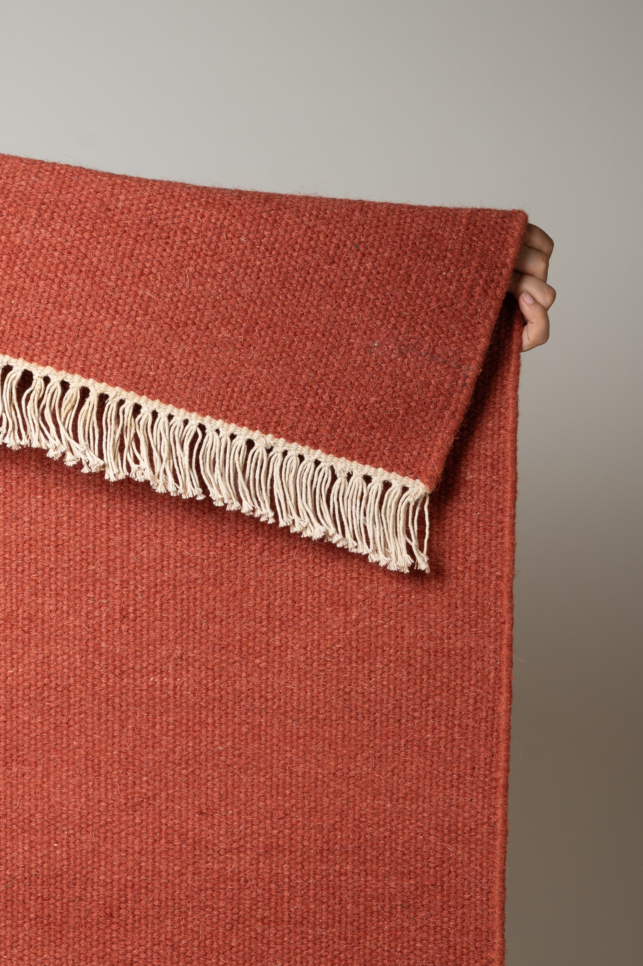 Vahni Solid Rug