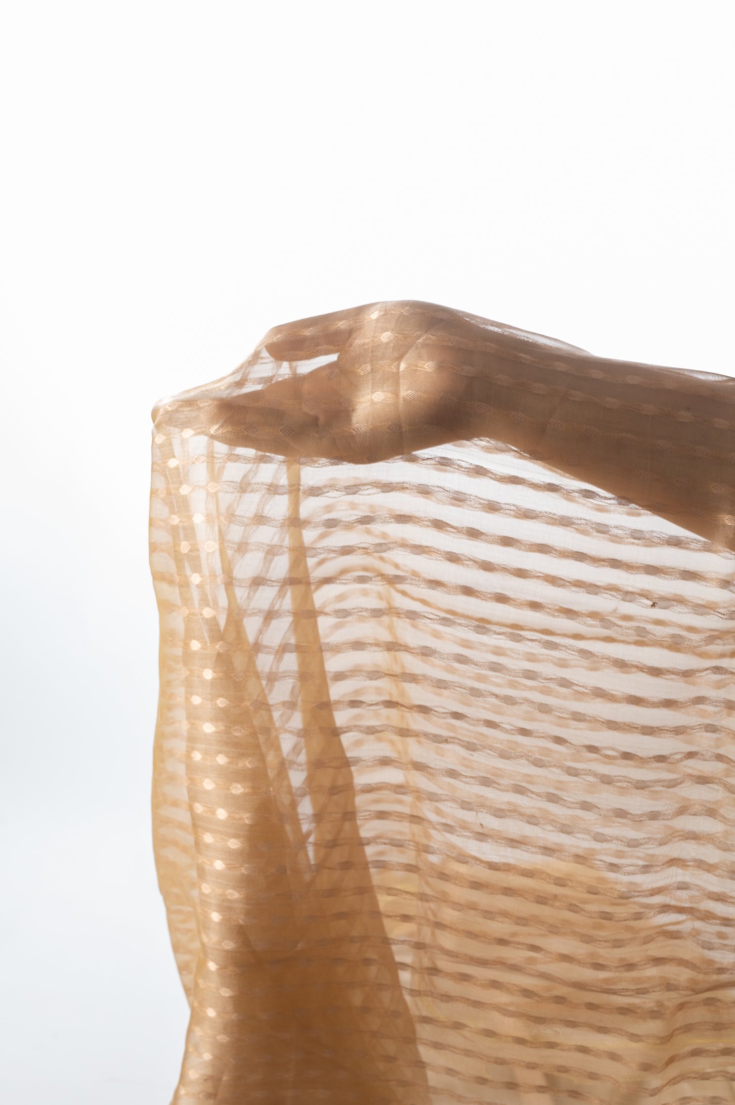 Kanchan Kadwa Tissue Silk Sari