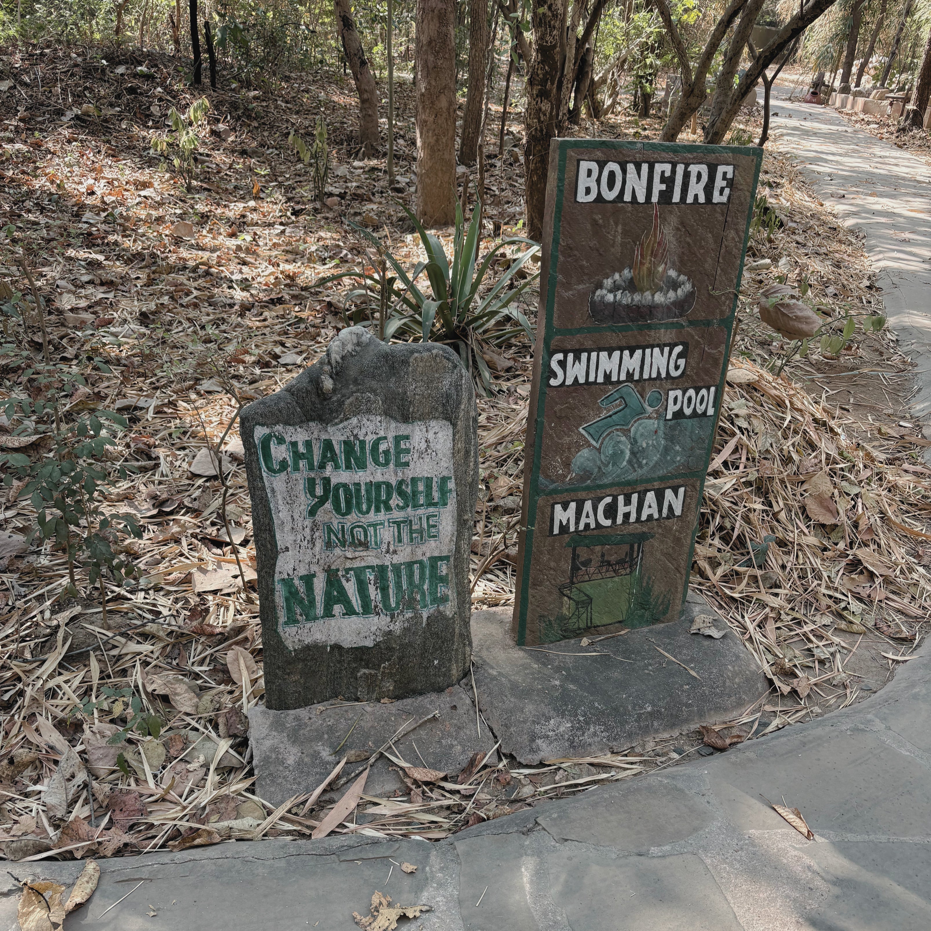 A Weekend in the Wild: Pench Tiger Reserve