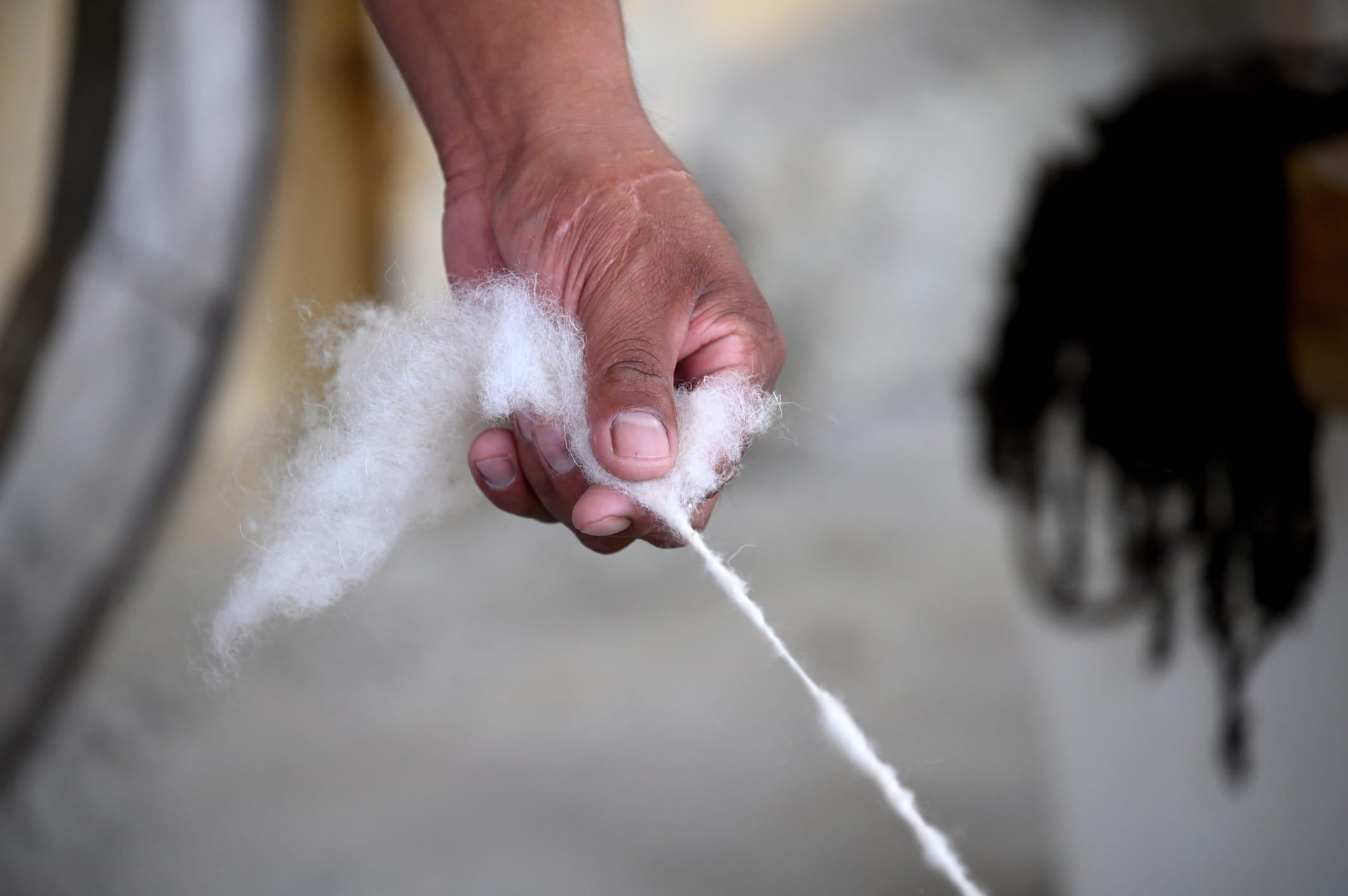Murshidabad Cotton: The Texture of the Fine Count