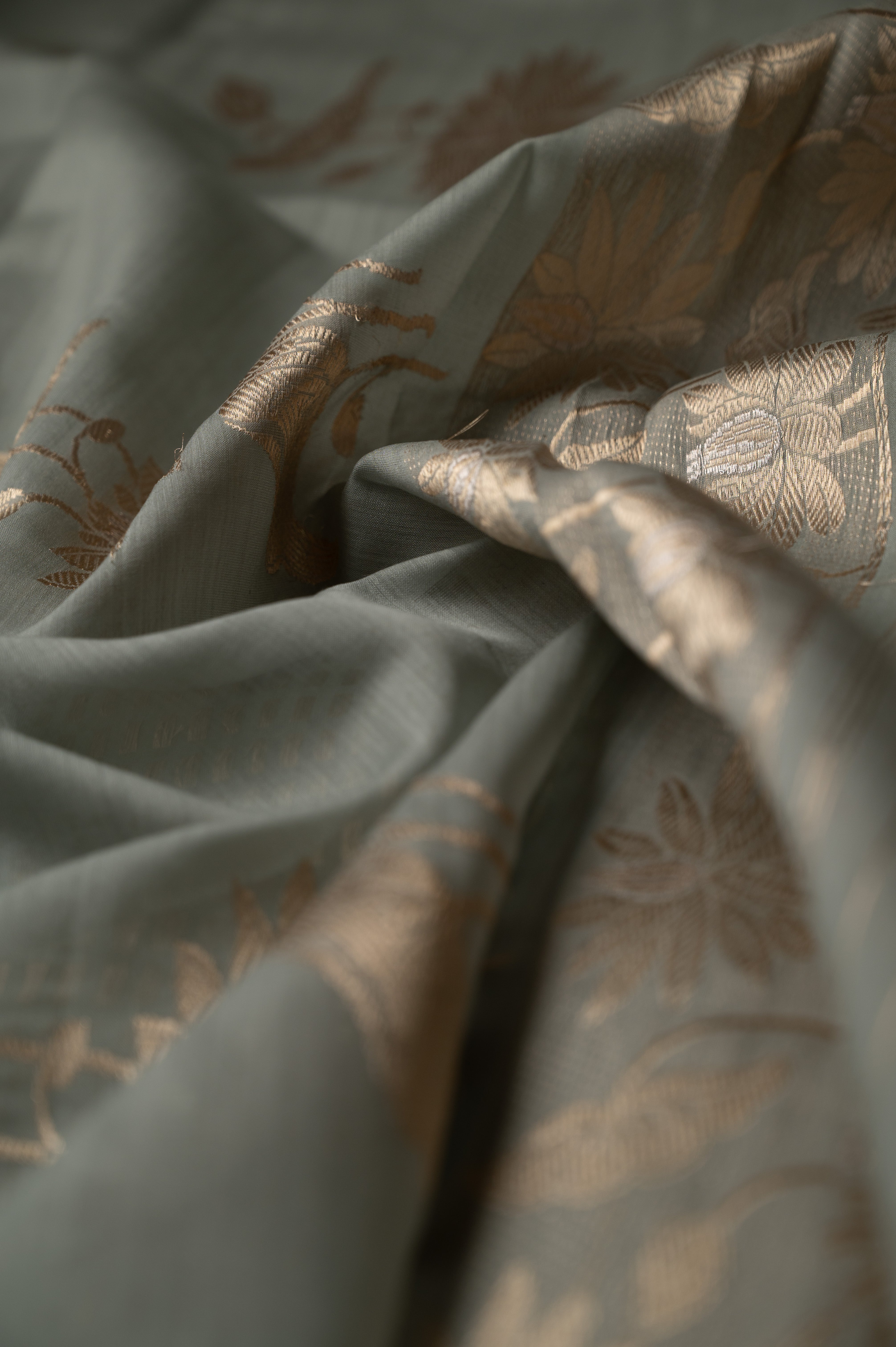 Chhaya Chanderi Cotton Sari