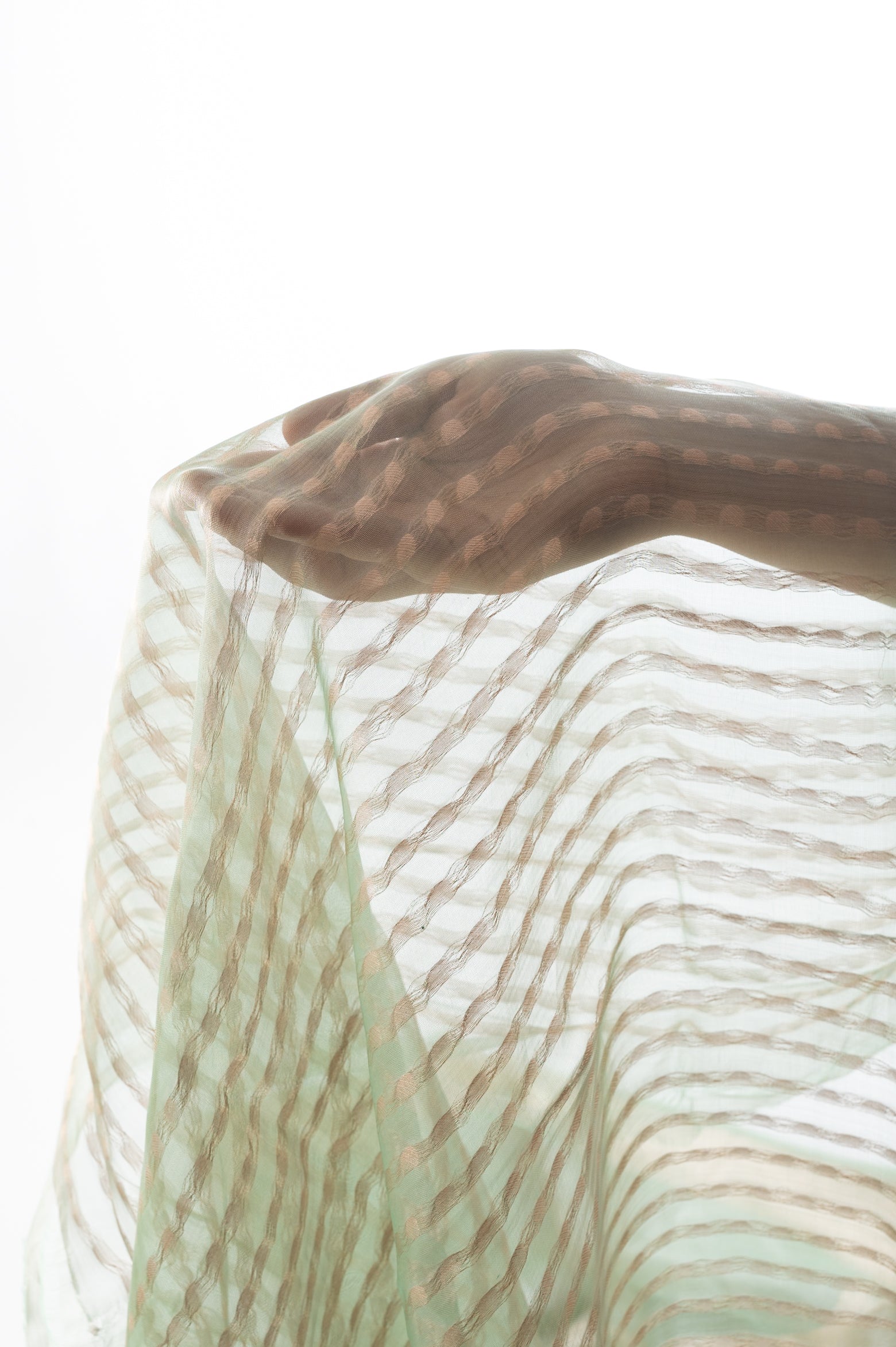 Tulsi Kadwa Tissue Silk Sari
