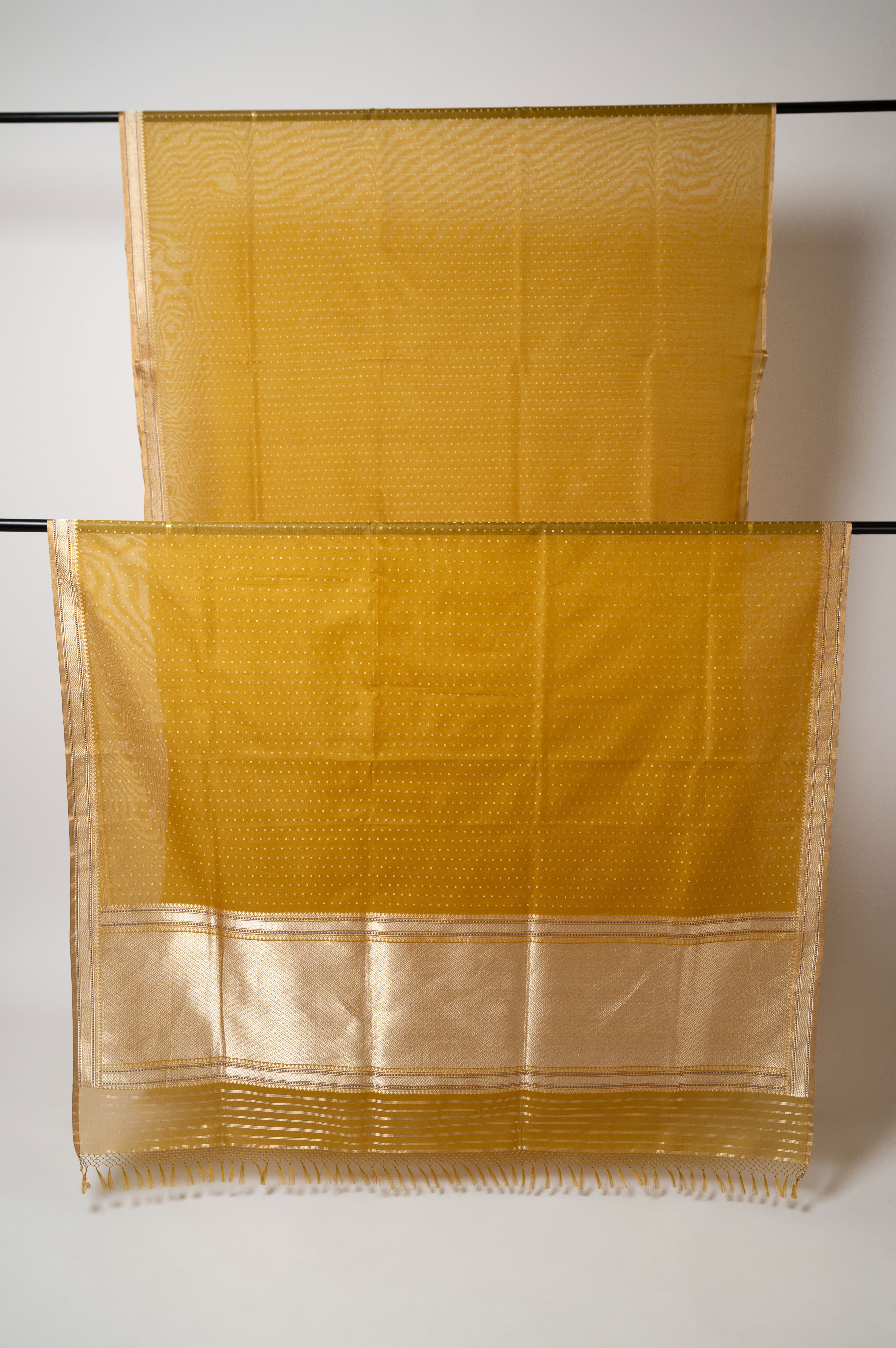Zaitun Organza Silk Sari